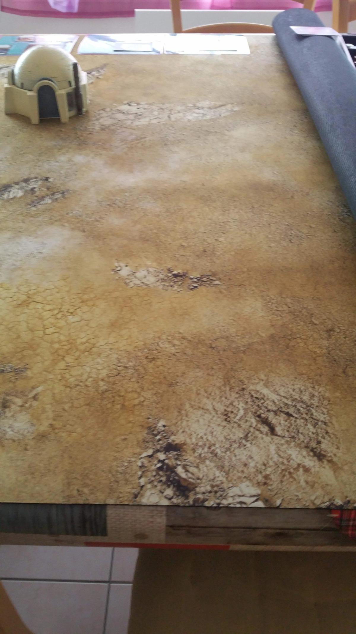 Field / Desert - 60X44 - Game mat Recto Verso