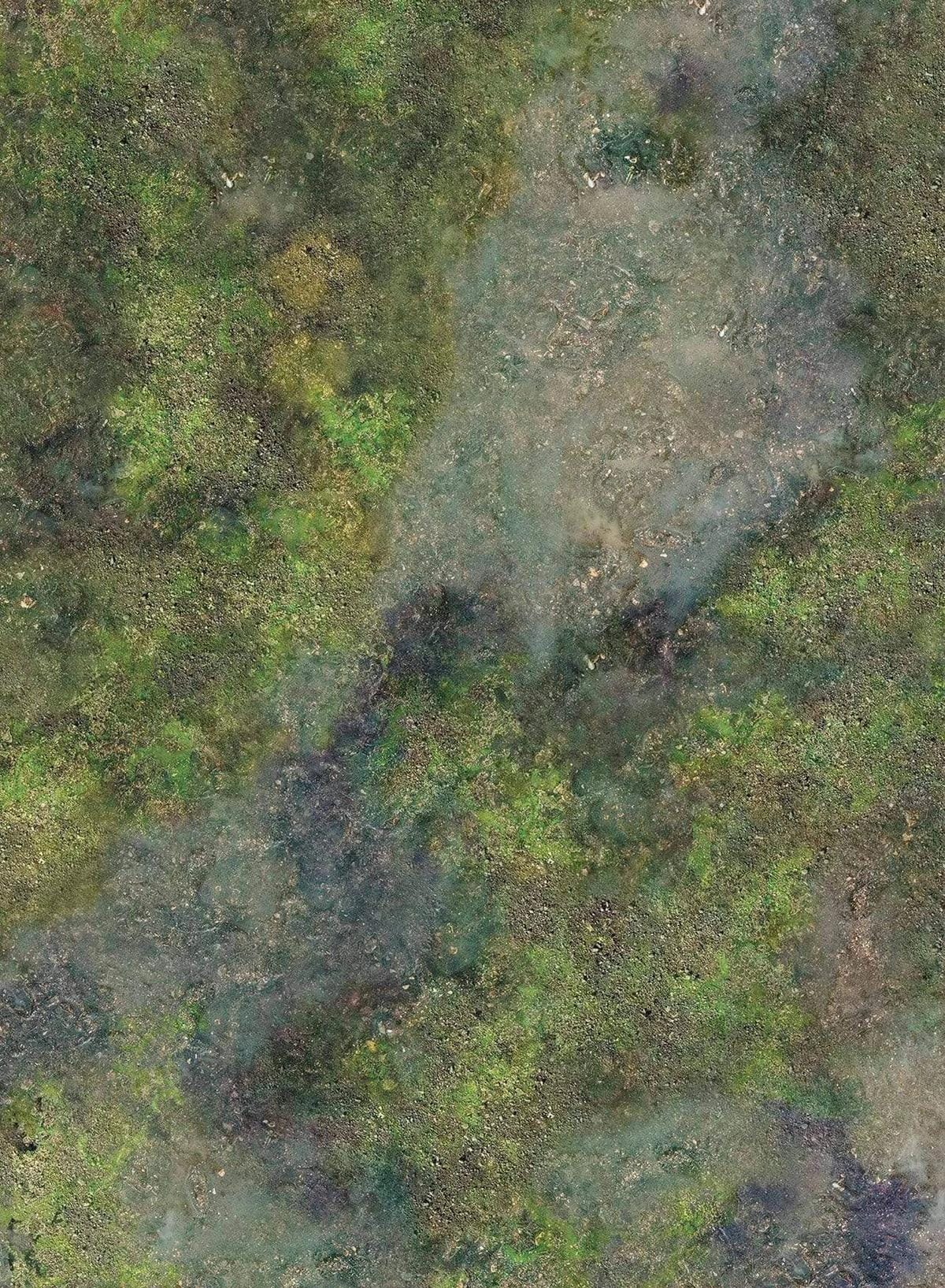 Marais - 60X44 - Game mat Wargame Battle mat crank-wargame