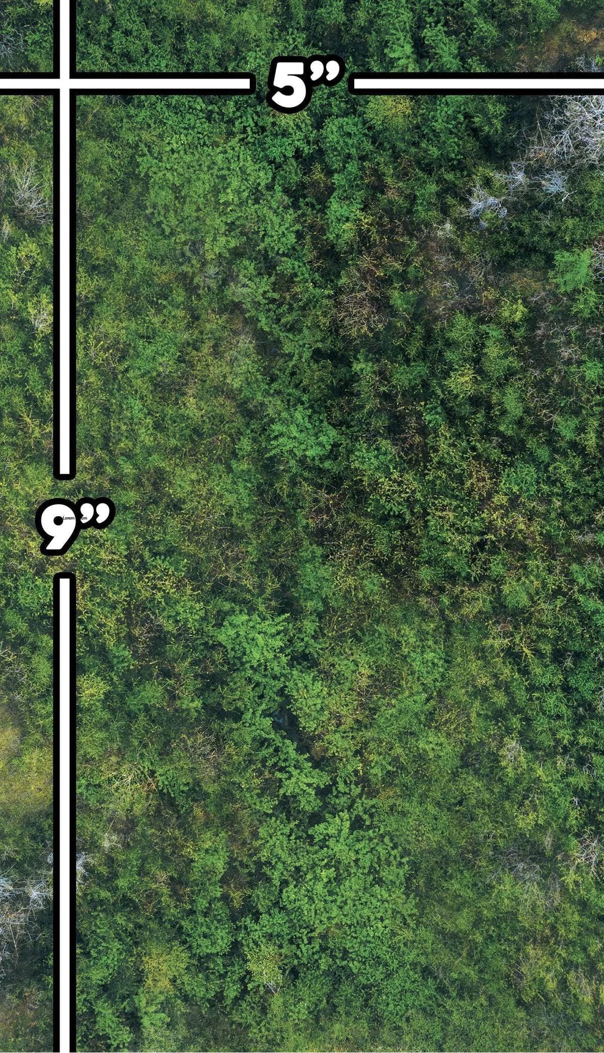 5 forêts de 9"x5" pour wh40k, Aos et Warhammer Old World Accessoire crank-wargame