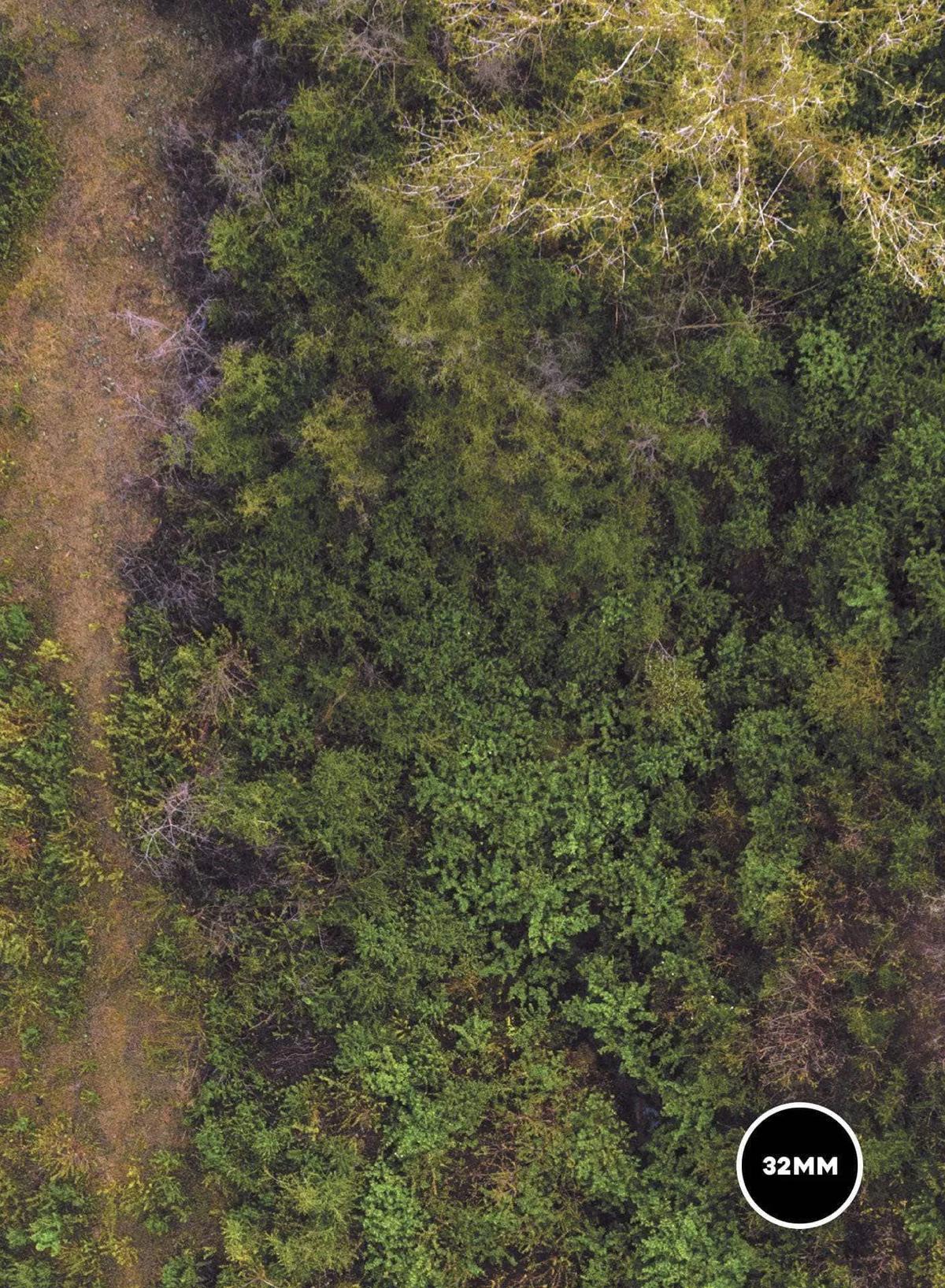 Forest - 44x60 - Zone de bataille Wh40k V9 game mat battle mats play mats tapis jeu crank-wargame