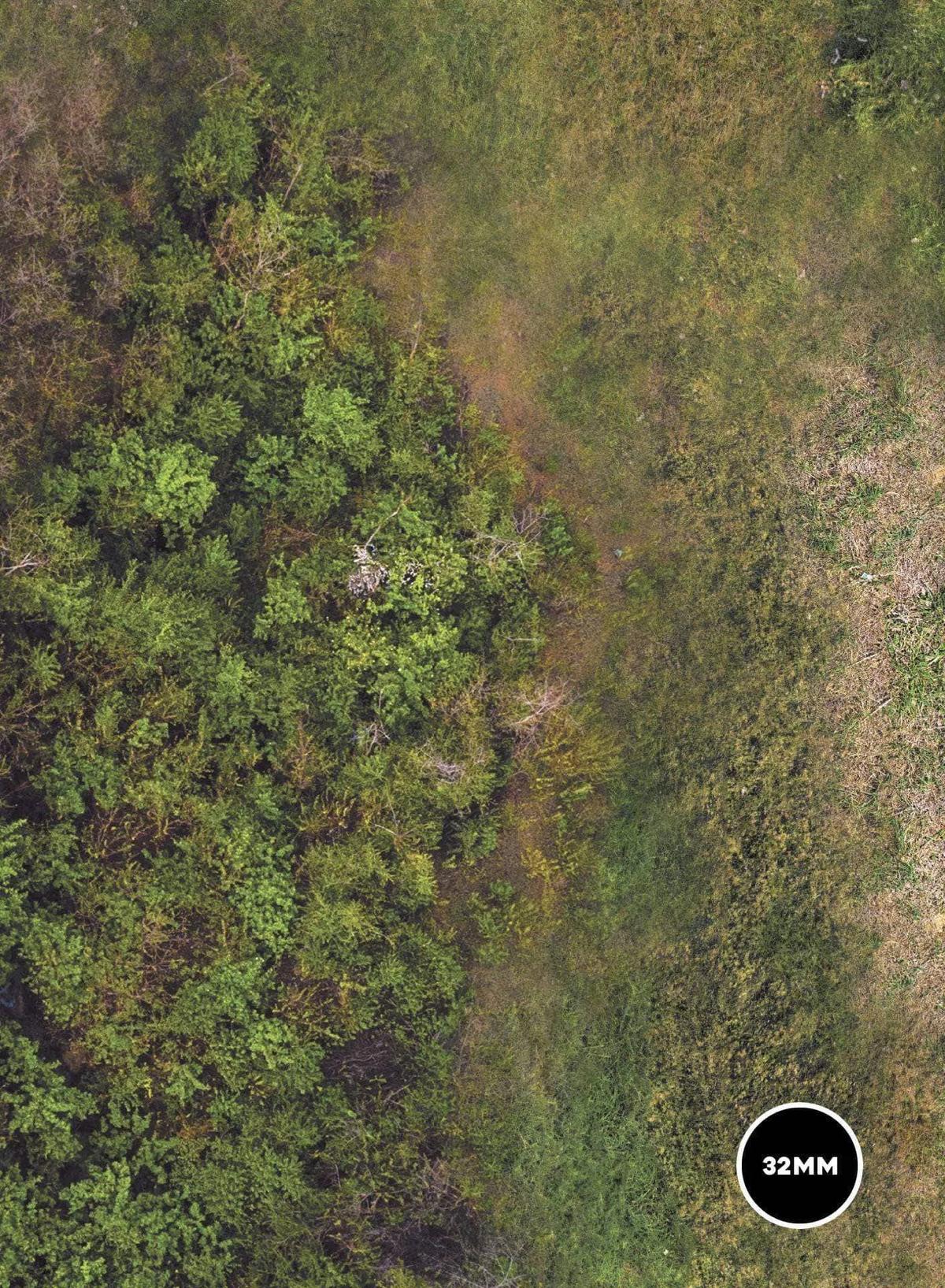 Forest - 44x60 - Zone de bataille Wh40k V9 game mat battle mats play mats tapis jeu crank-wargame