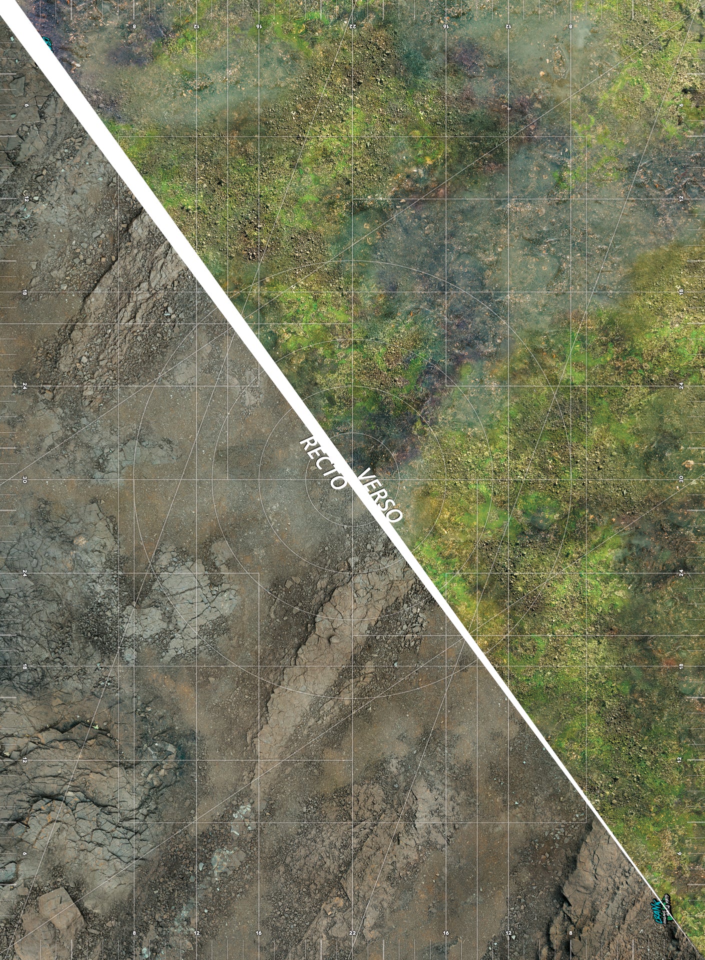 Marais / Canyon  60x44 - Recto/Verso- Tapis de jeu compétitif