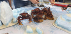 Lava / Winter - 60X44 - Game mat Recto Verso Battle mat crank-wargame
