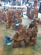 Forest & Desert - 60X44 - Tapis de jeu Recto Verso