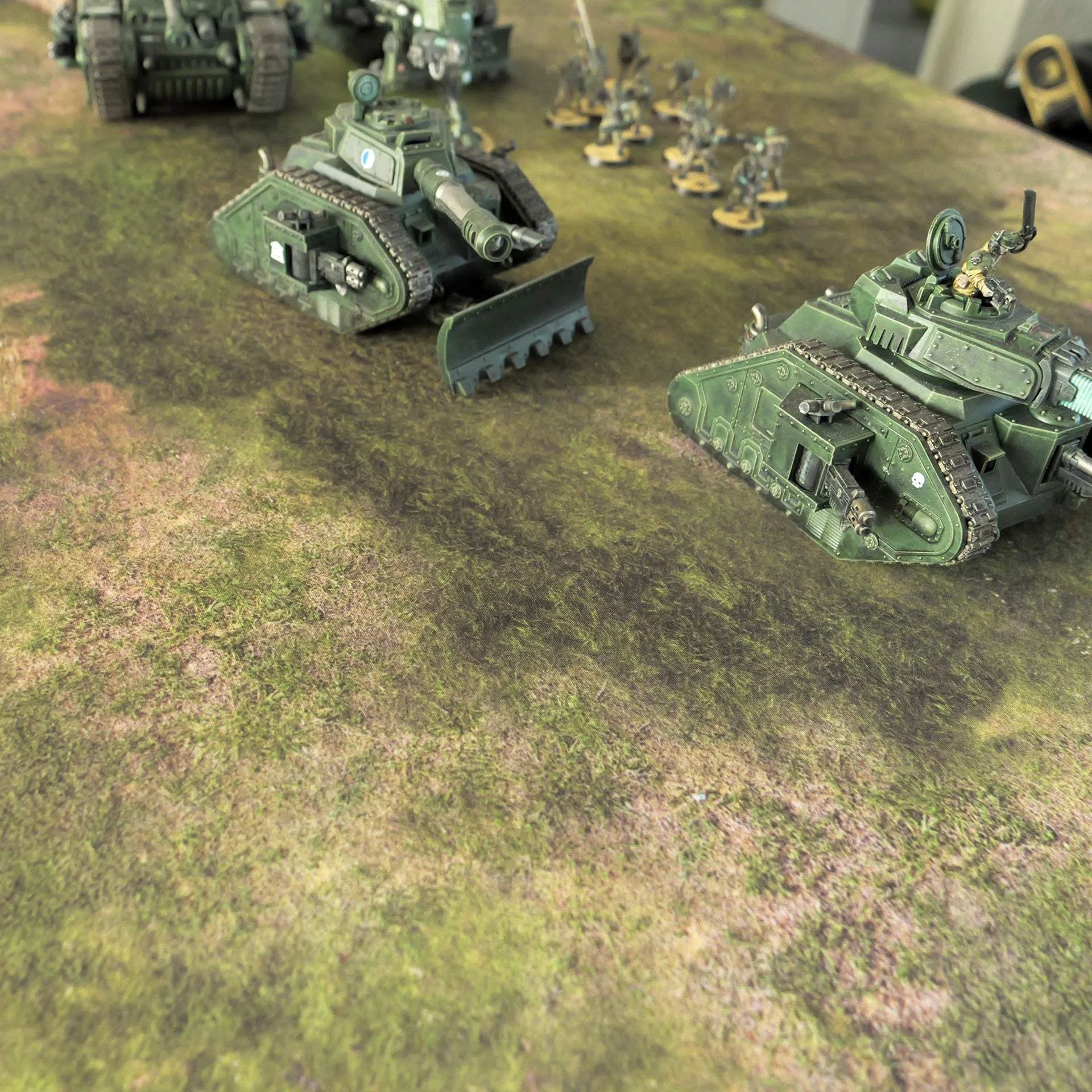 Forest & Desert - 60X44 - Tapis de jeu Recto Verso