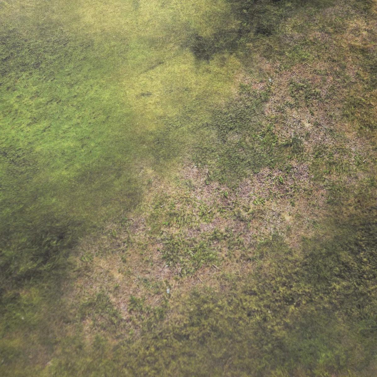 Forest  - 60x44 - Zone de bataille Wh40k