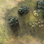 Forest & Desert - 60X44 - Tapis de jeu Recto Verso