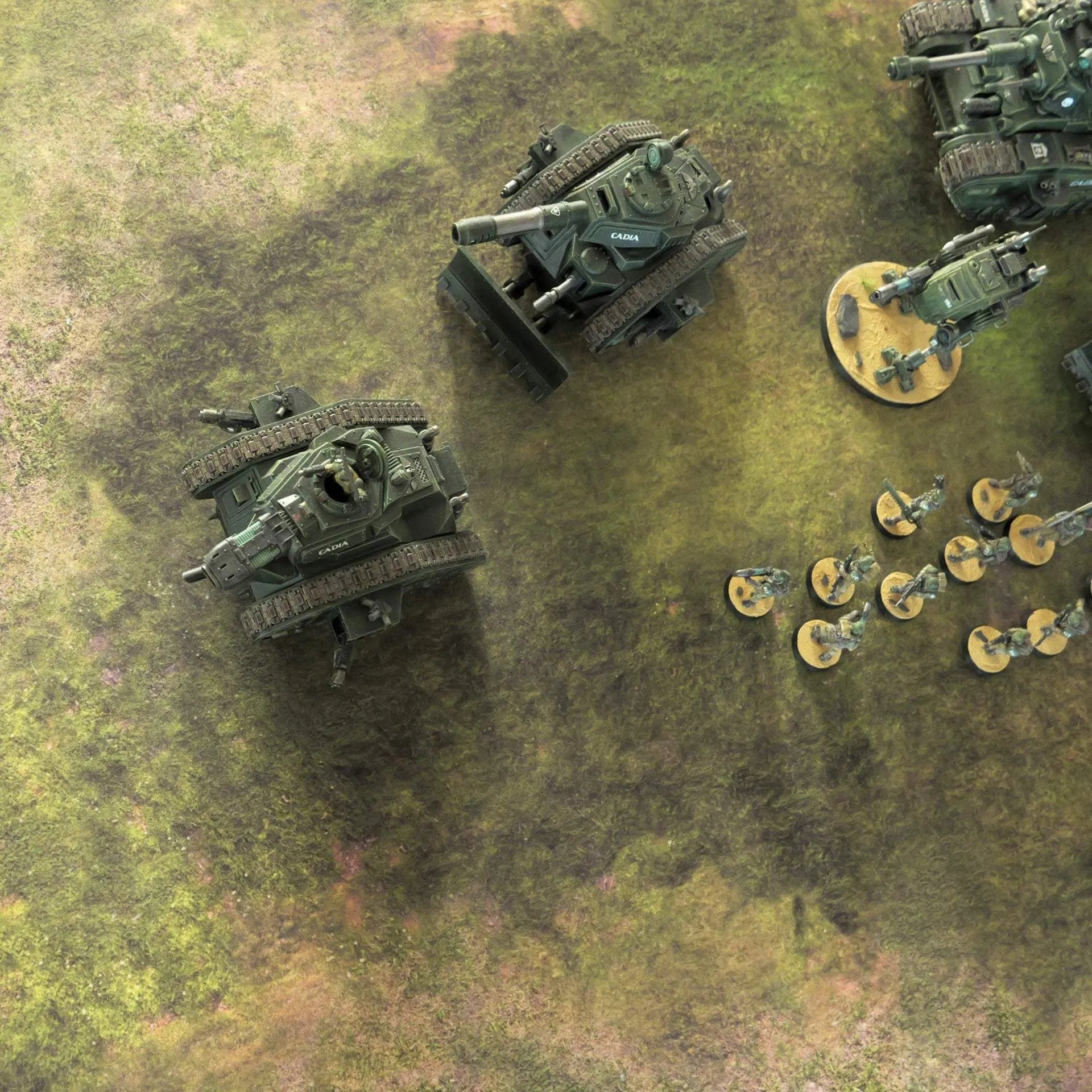 Forest & Desert - 60X44 - Tapis de jeu Recto Verso