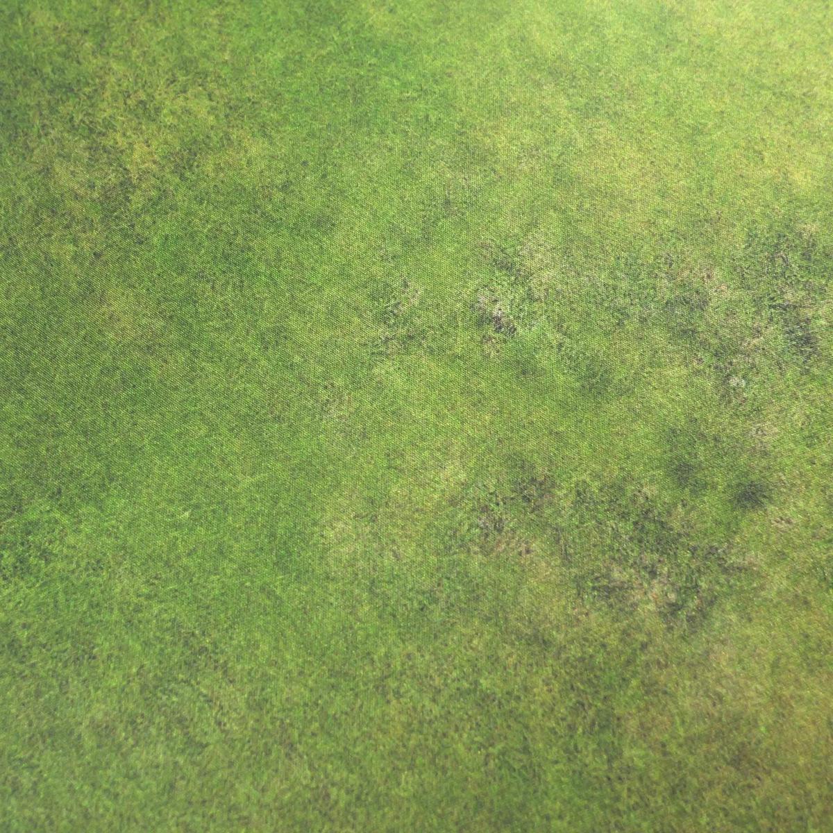 Field - 60X44 - Game mat Wargame