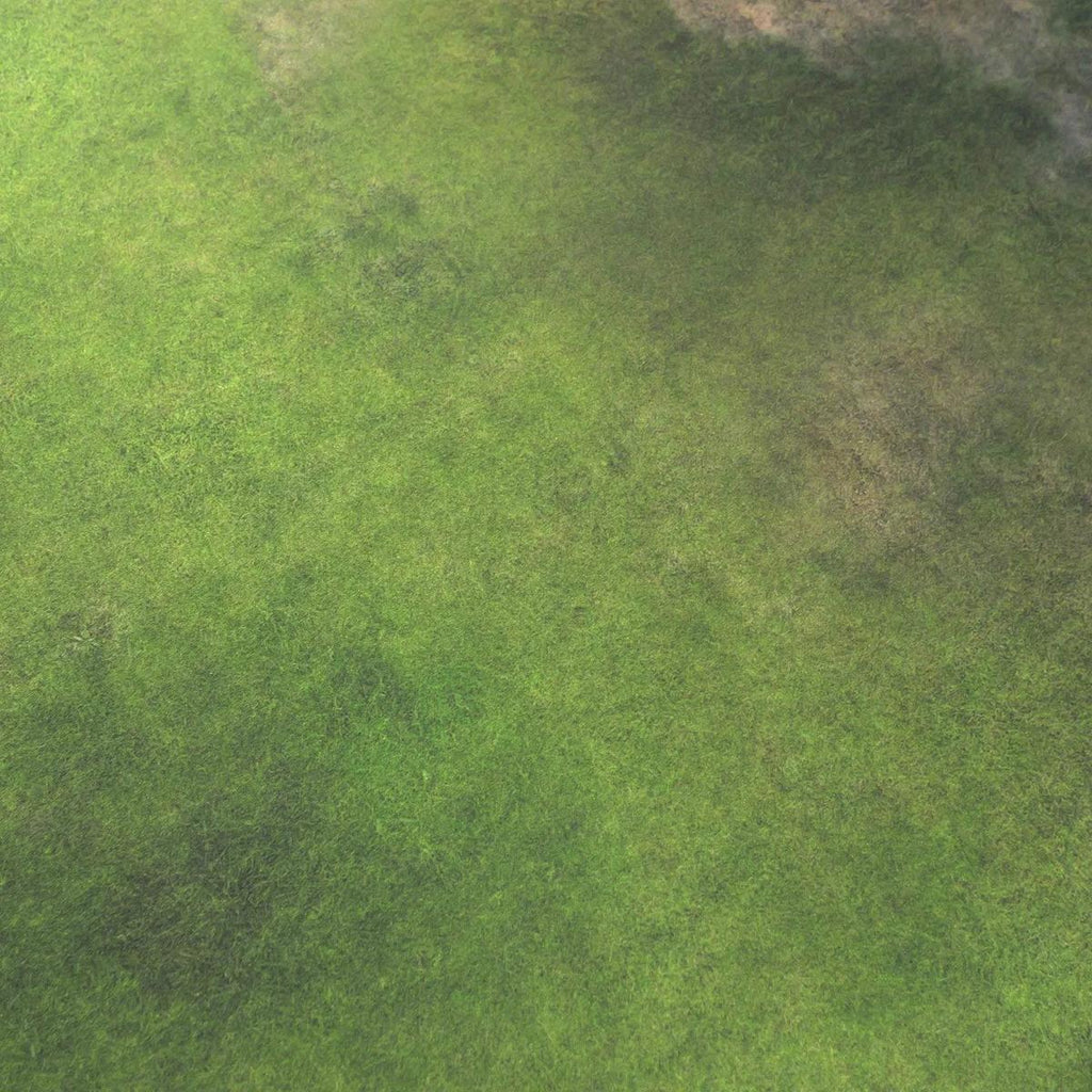 Field - 60X44 - Game mat Wargame