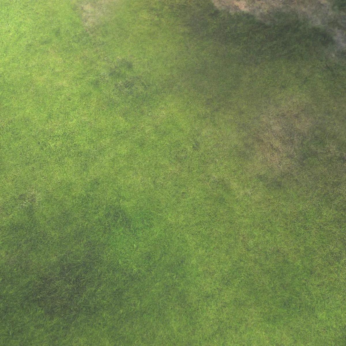 Field - 60X44 - Game mat Wargame