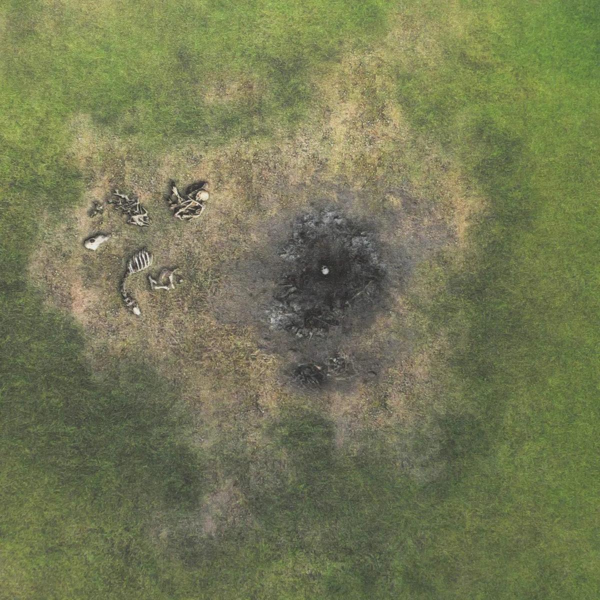 Field - 60X44 - Game mat Wargame