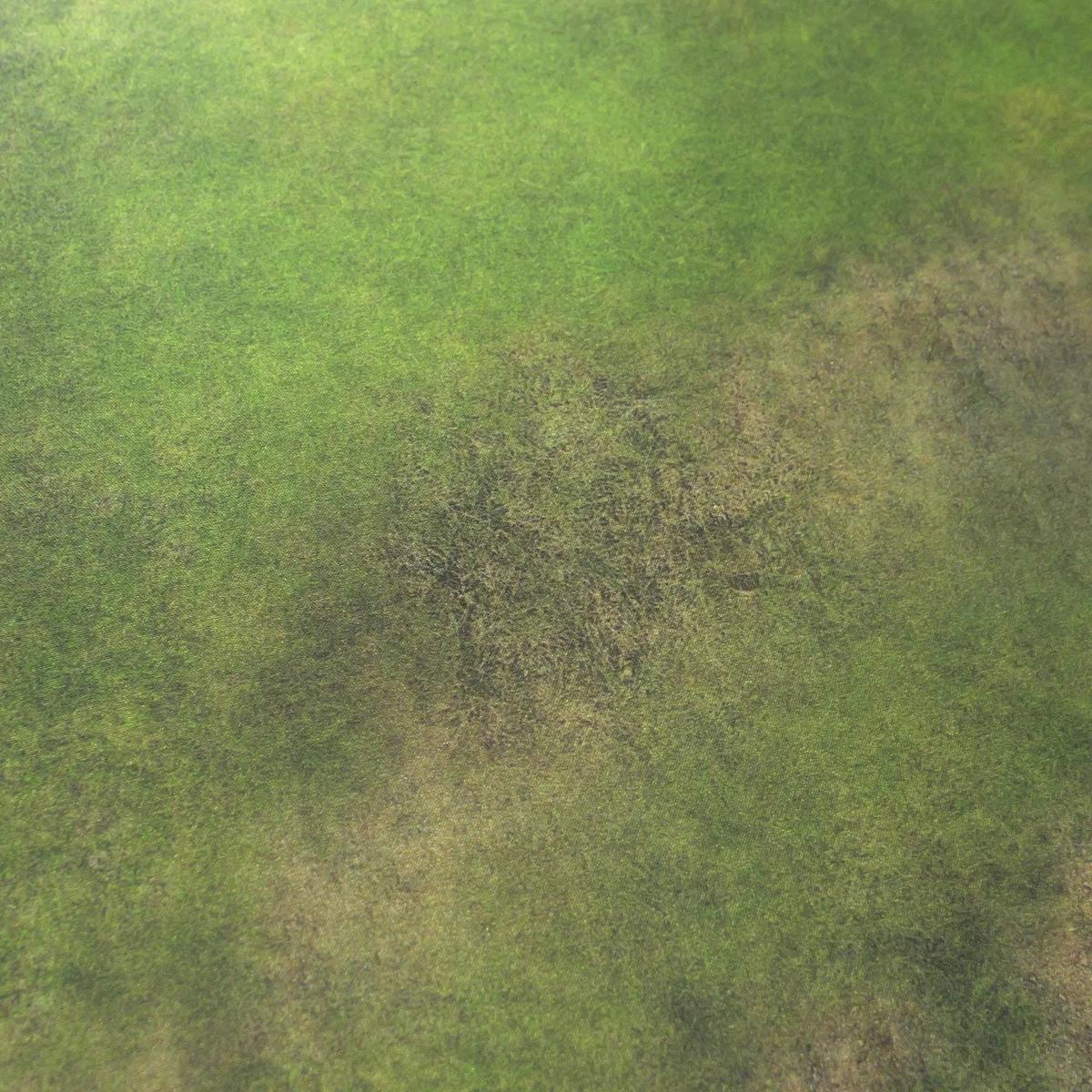 Field - 60X44 - Game mat Wargame