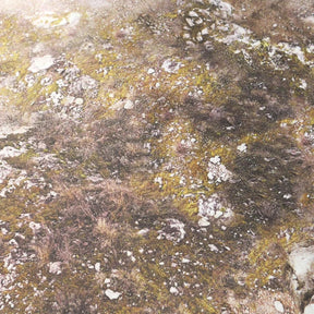 Fog & Tech Zone - 60X44 - Double Sided Playmat