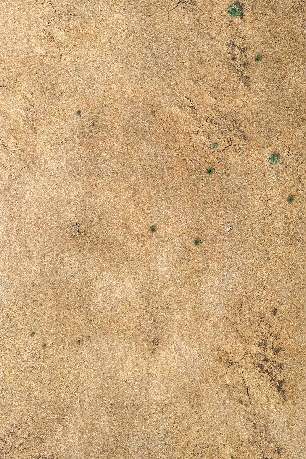 crank-wargame Battle mat RACE TRACK - 72X48 - Game mat Wargame