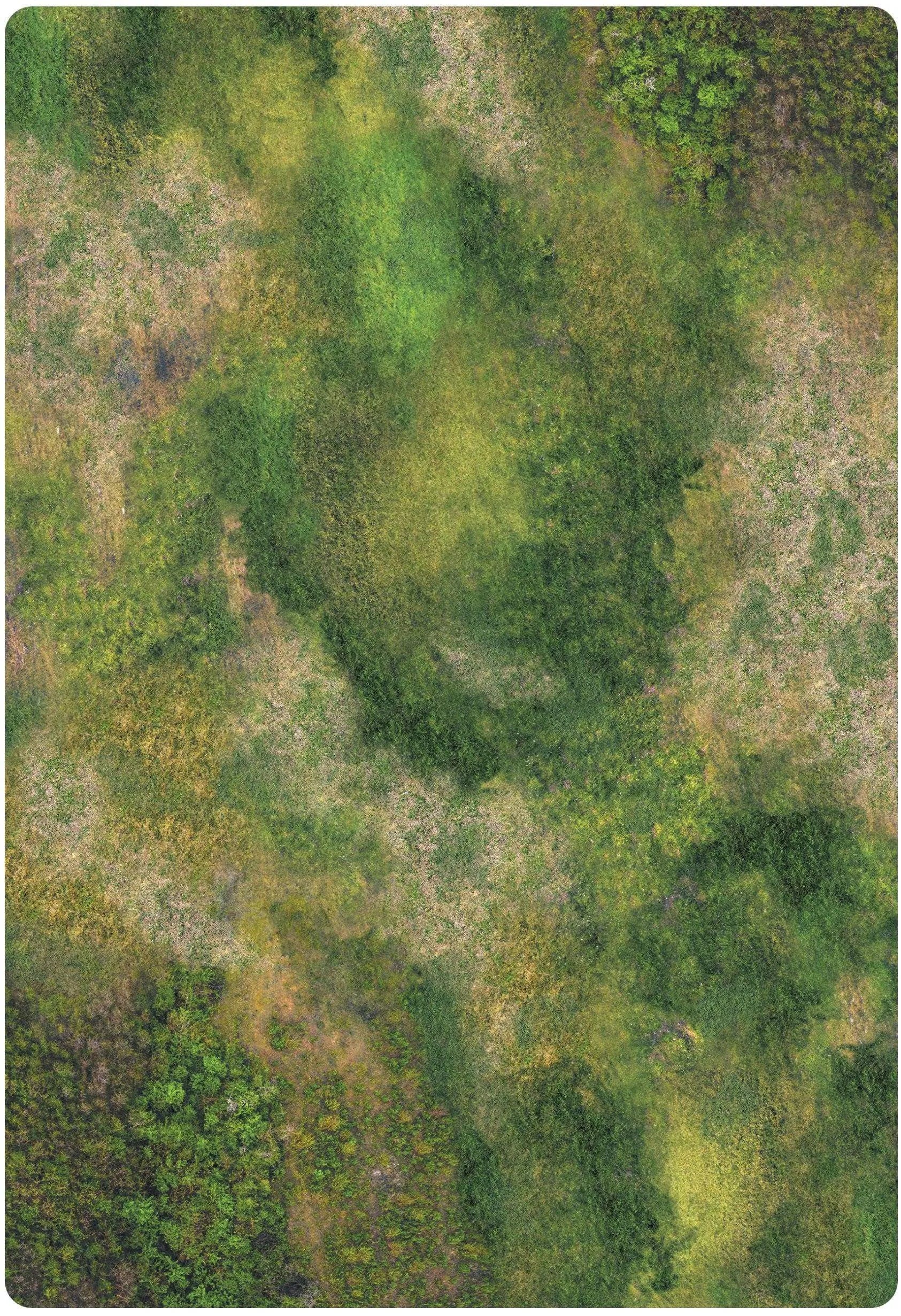 Forest Desert Recto Verso -44x30 - Main Image